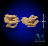 Dragon Claws Sword Holder - Talons of Smaug