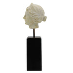 Aphrodite Head Statue With Black Base