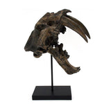 Faux Sabertooth Tiger Fossil Skull Trophy