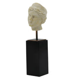 Aphrodite Head Statue With Black Base