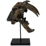 Faux Sabertooth Tiger Fossil Skull Trophy