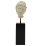 Aphrodite Head Statue With Black Base