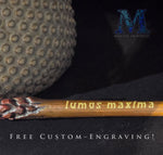 Customized Magic Wand